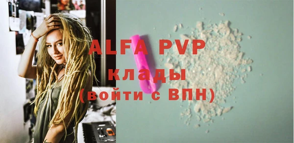 стаф Аркадак