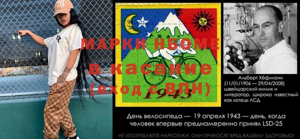 шишки Арсеньев