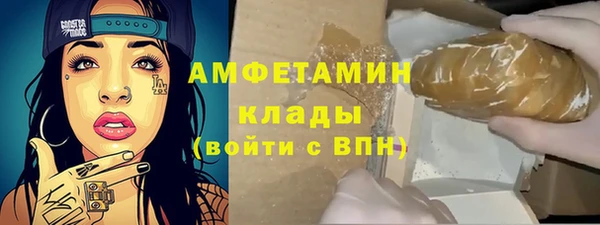 стаф Аркадак