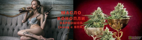 шишки Арсеньев