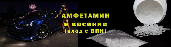 шишки Арсеньев