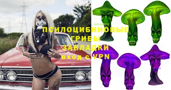 шишки Арсеньев