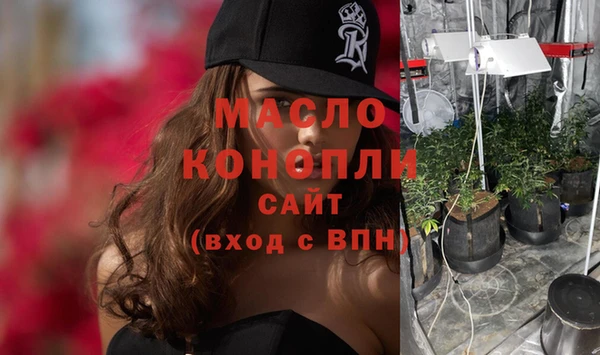 шишки Арсеньев