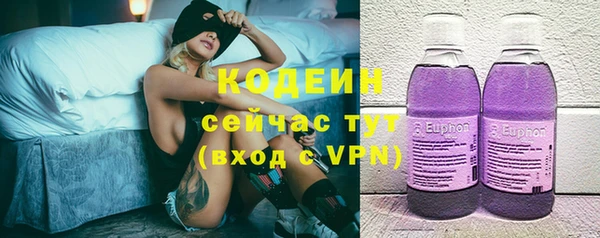 шишки Арсеньев
