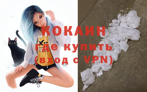шишки Арсеньев
