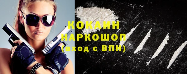 стаф Аркадак