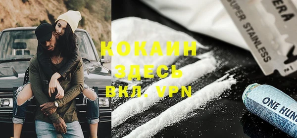 шишки Арсеньев