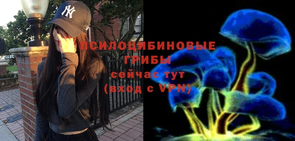 шишки Арсеньев
