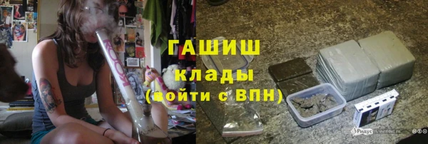шишки Арсеньев