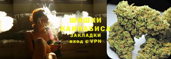 шишки Арсеньев