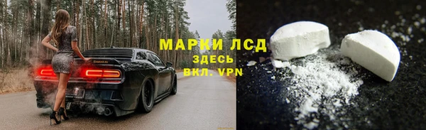 стаф Аркадак